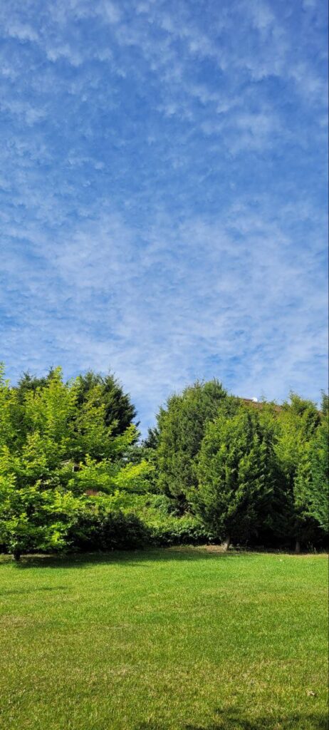 img 20250409 193031 268