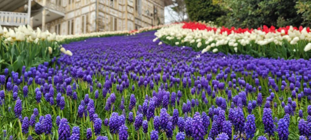 photo 2025 10 16 08 47 54