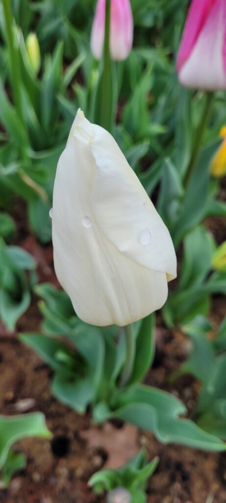 ٢٠٢٥٠٤٠٨ ١٠٢٥٤٣