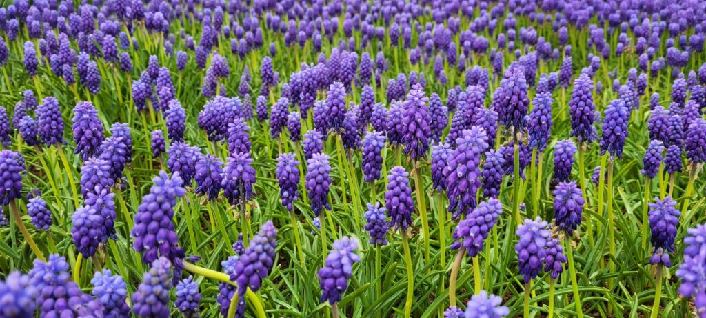 ٢٠٢٥٠٤٠٨ ١٠٣٣٣٧