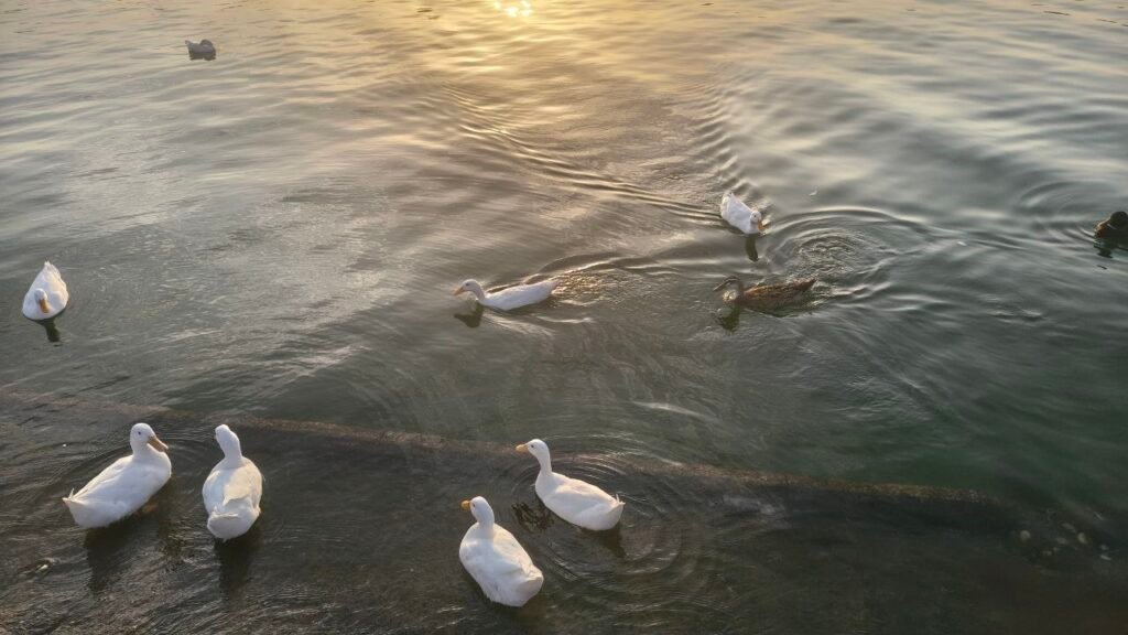 img 20260330 134554 489